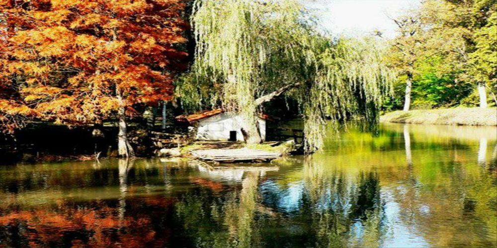 جولة غابات بلغراد